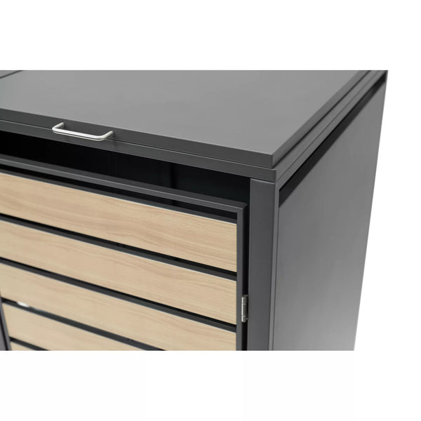 Armoire de conversion pour conteneurs Kastrex - Pour 2 poubelles à roulettes - Résistante aux intempéries et sans entretien - Acier revêtu