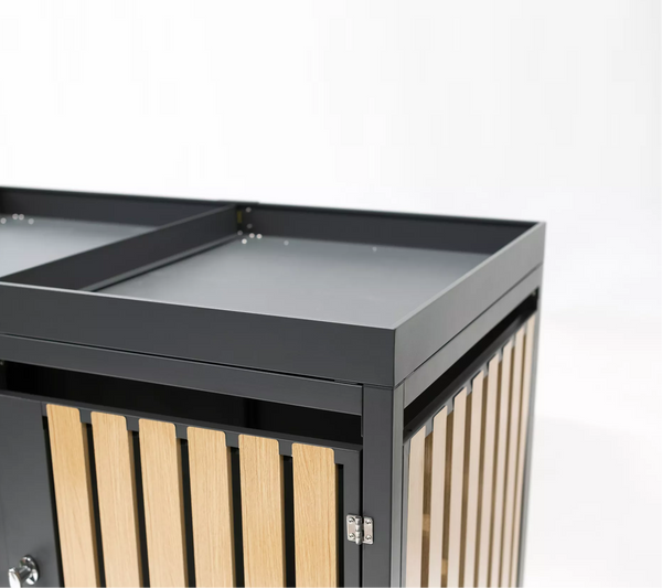 Armoire de conversion pour conteneurs Kastrex - Pour 2 poubelles à roulettes - Résistante aux intempéries et sans entretien - Acier revêtu